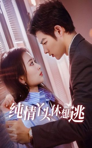 新闺蜜时代剧情解析视频在线观看