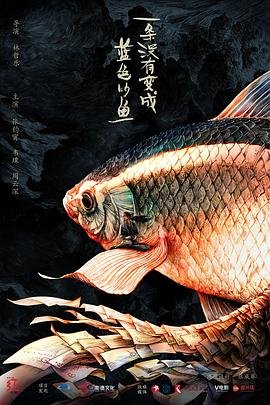 云巅之上 2电视剧免费观看