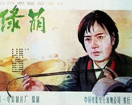 《绽放吧百合》电视剧