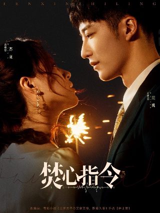 离婚才知我是拳王高冷前妻跪求原谅大结局