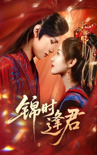 电视剧《产科医生》主题曲叫什么名字