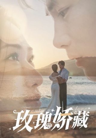 断刀客电视剧全集完整版免费观看下载