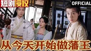 电影《音乐家》简介内容英文版翻译