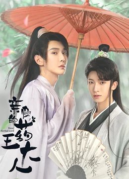 《相信爱》歌词歌谱图片