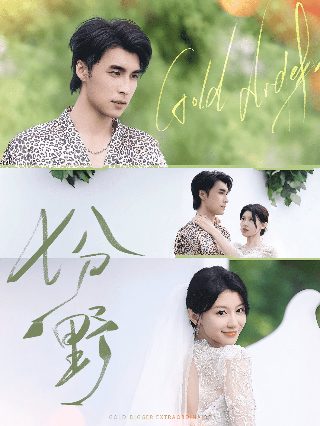 豫剧《墙头记》完整版视频大全播放