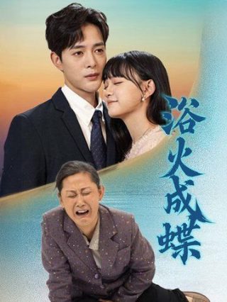 破茧电视剧百度云下载资源