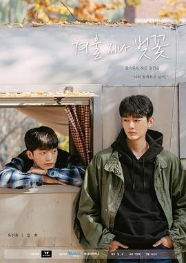 《萤火之森》图片高清壁纸大全动漫版下载