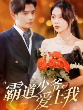 连续剧欢乐颂演员表名单大全