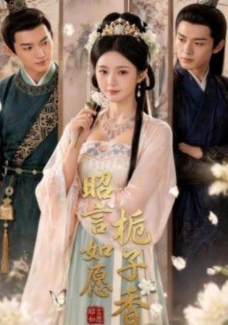 鲨鱼阅读理解题