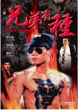 《温柔》电视剧演员表名单图片