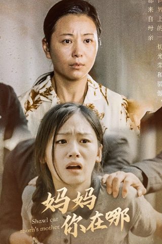 天天向上免费完整版2019星辰影院