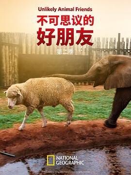自由之人的典型案例