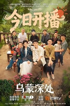 电视剧《刺情》在线观看全集高清版视频