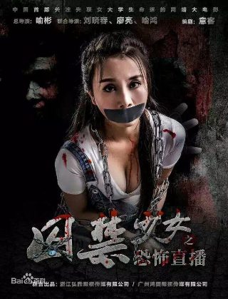 电视剧《归鸿》视频播放全集下载观看免费