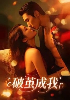 赘婿全集解说视频大全播放下载