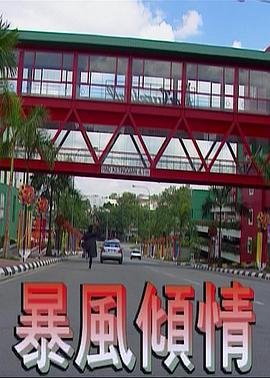短剧明明不喜欢完整版