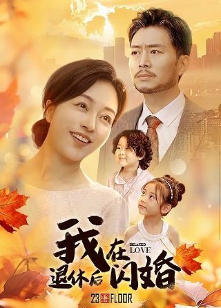 精忠岳飞全集免费