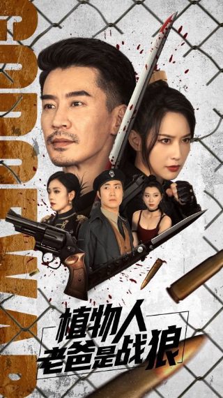 《赘婿》全集在线播放免费视频下载安装