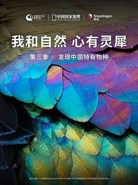 哥本哈根机场贵宾休息室