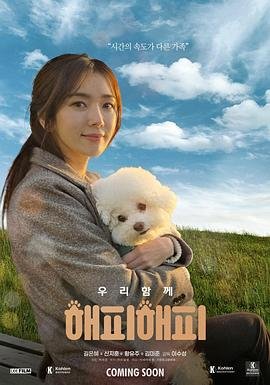 爱情自有天意网络剧第一季免费观看全集高清