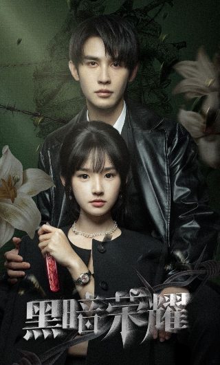 《三十而已》剧集介绍大全免费观看第二季