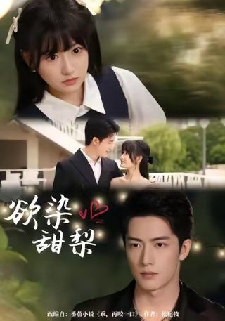 八仙过海电视连续剧40集播放