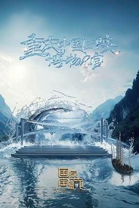 电视剧《速度》免费观看全集高清版