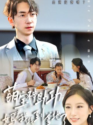 精武陈真甄子丹30集电视剧国语版