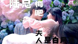 《神印王座》免费动漫63集在线观看全集下载百度云