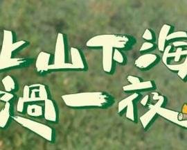 洛克王国动画片在线观看全集