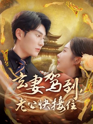 芙蓉电视剧在线观看全集免费