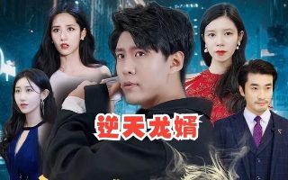 哈尔的移动城堡图片苏菲