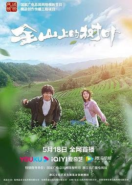 石头的夏天演员