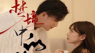 天下乌鸦一般黑歌曲什么意思