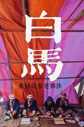 《执念如影》高叶
