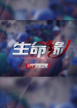 《大丈夫日记》电影免费观看国语版全集