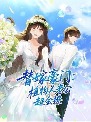 变形金刚二解说