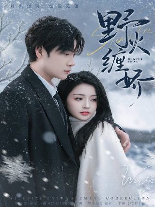 独步逍遥第384集免费观看全集视频