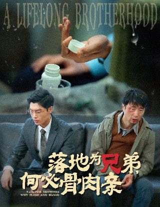 平凡岁月电视剧免费播放