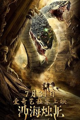 看过山车应该下载哪个视频软件