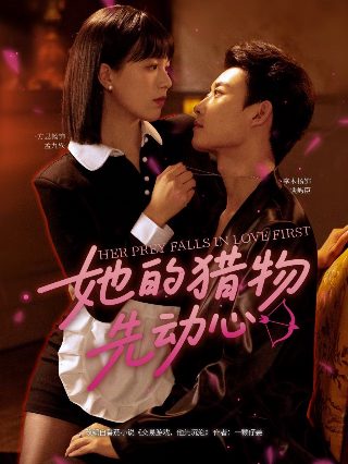 没有硝烟的战线完整版