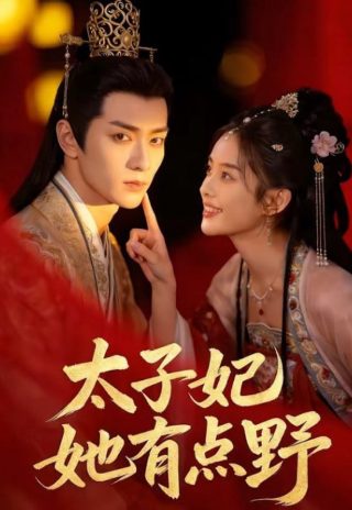 云之羽第二季免费观看