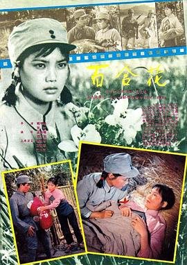 刘家媳妇电视连续剧在线播放全集下载