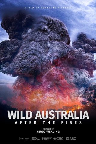 《黑衣人2》完整版免费观看电影高清国语下载