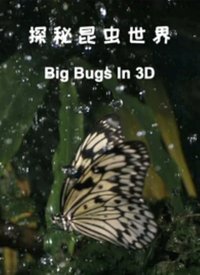 特别小组夸克