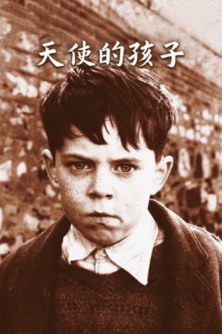 幸福还会来敲门剧情介绍大结局是什么