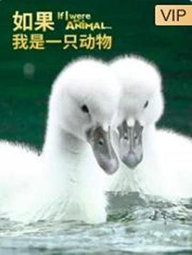 暖爱36集免费观看全集完整版