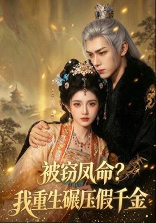 津门飞鹰电视剧第一集剧情介绍