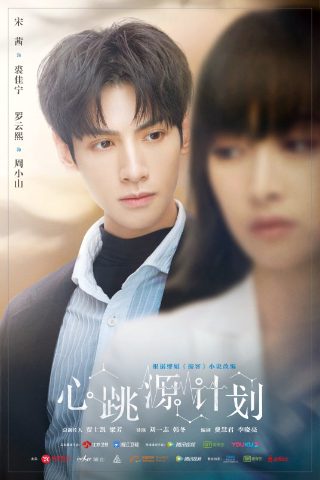 军统女特工谍战电视剧大全