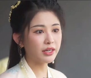 傻儿司令第八集在线观看全集高清
